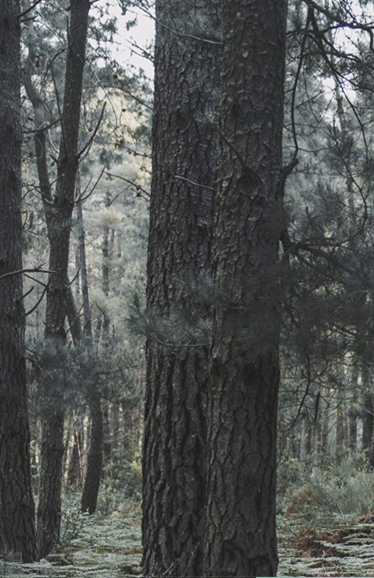 partnersLeft partnersLeft