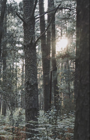 partnersRight partnersRight